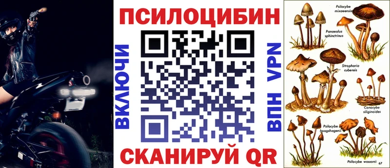Псилоцибиновые грибы MAGIC MUSHROOMS  где найти   Аткарск 