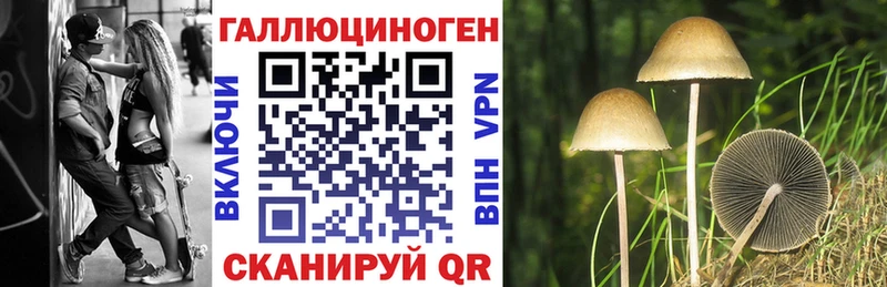 Галлюциногенные грибы MAGIC MUSHROOMS Аткарск